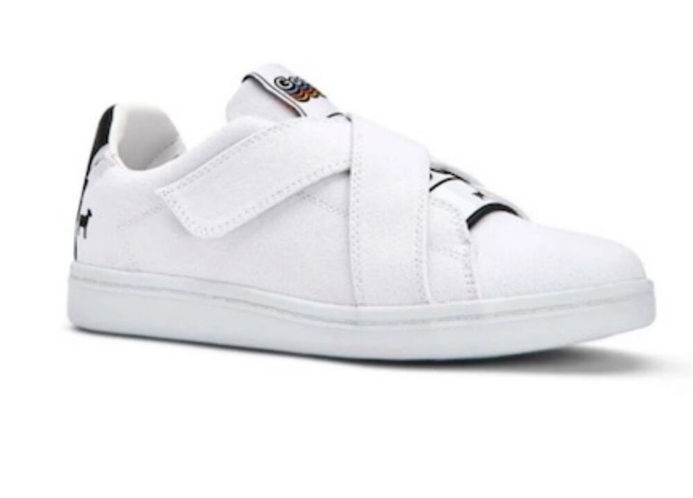 Goat Canvas Sneaker New
